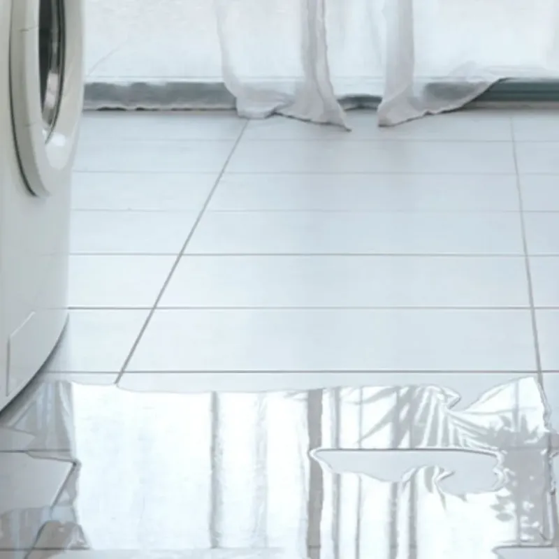Appliance Leak Cleanup in Clint, TX