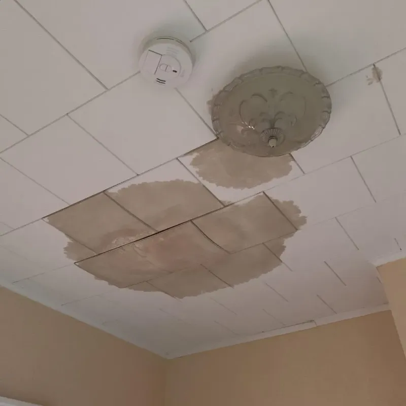 Ceiling Water Damage Repair in Clint, TX