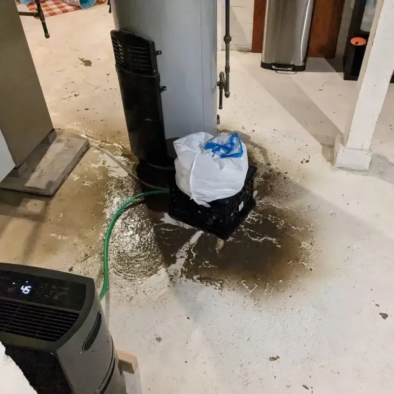 Sewage Backup Cleanup Service in Clint, TX